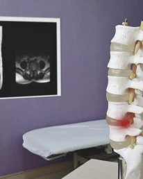 imagen noticia Investigación en ergonomía